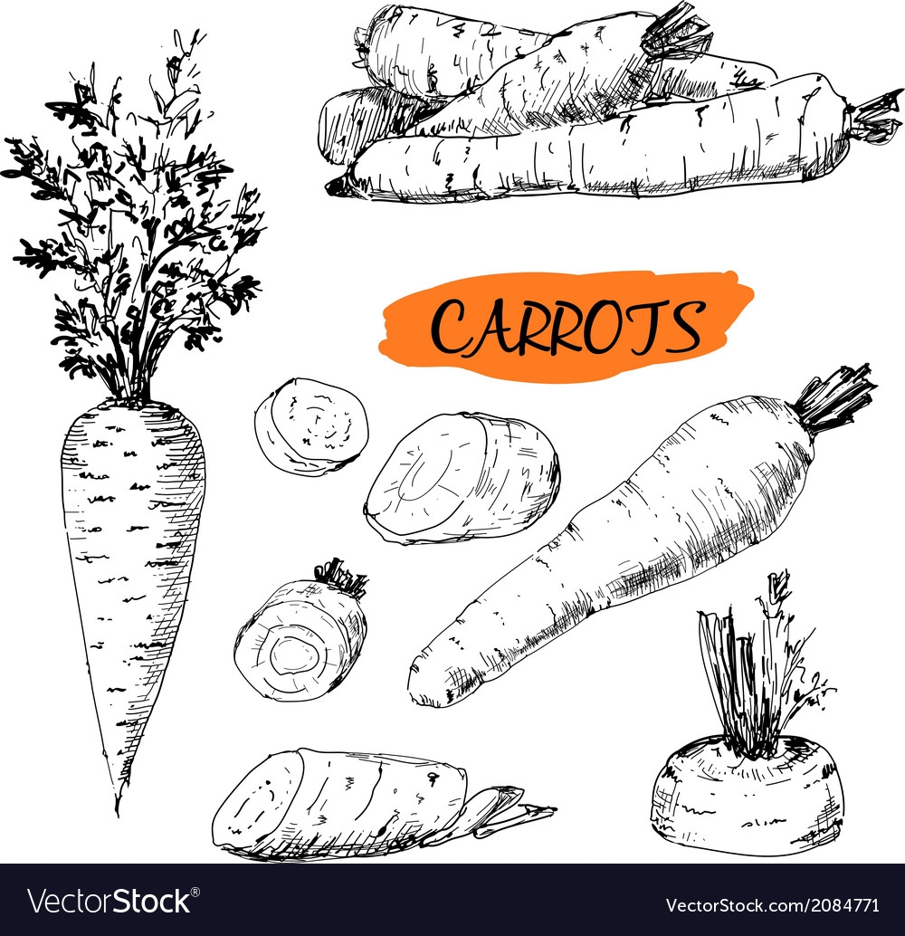 Морковка Графика
