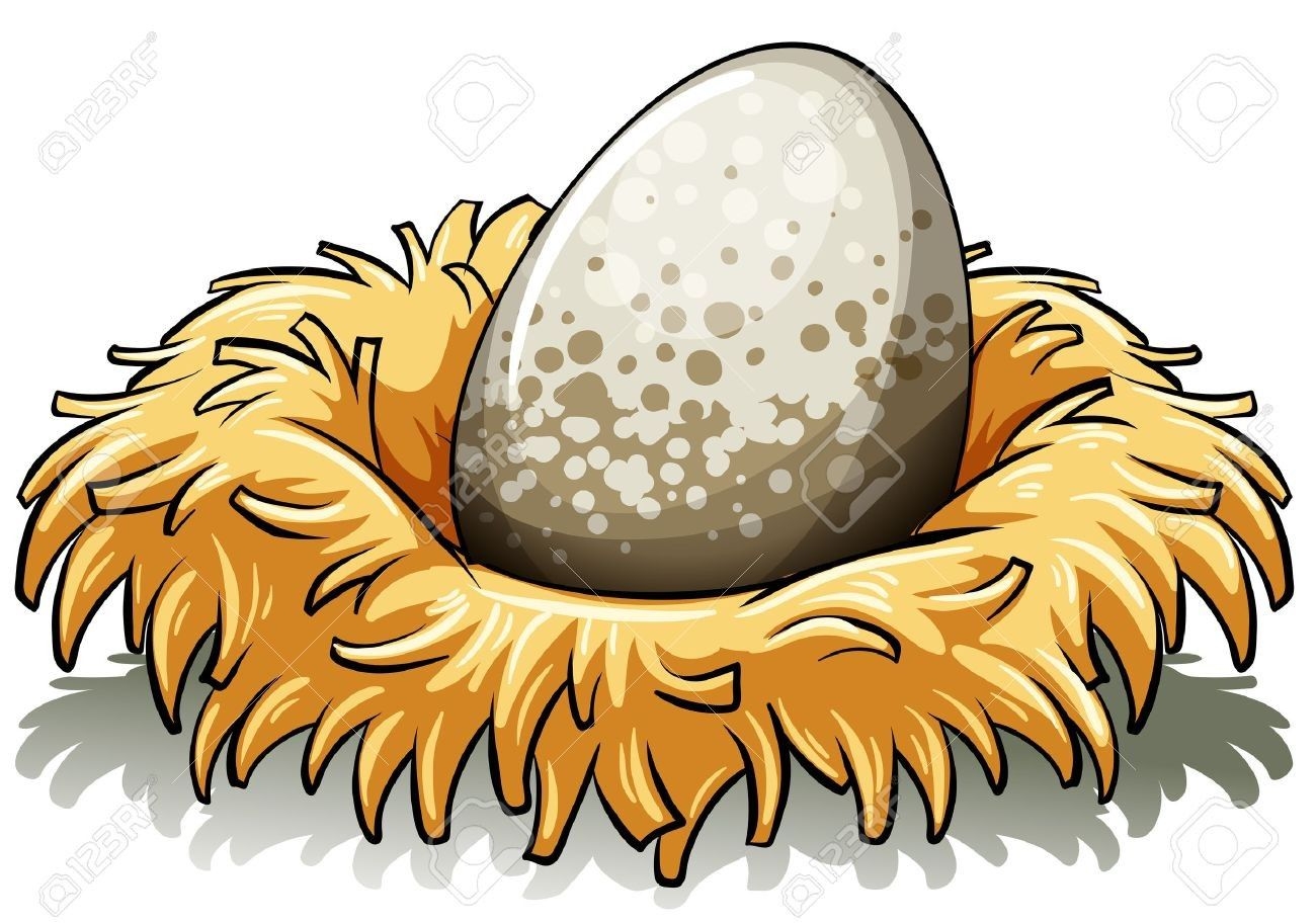 Гнездо с яйцом мультяшный