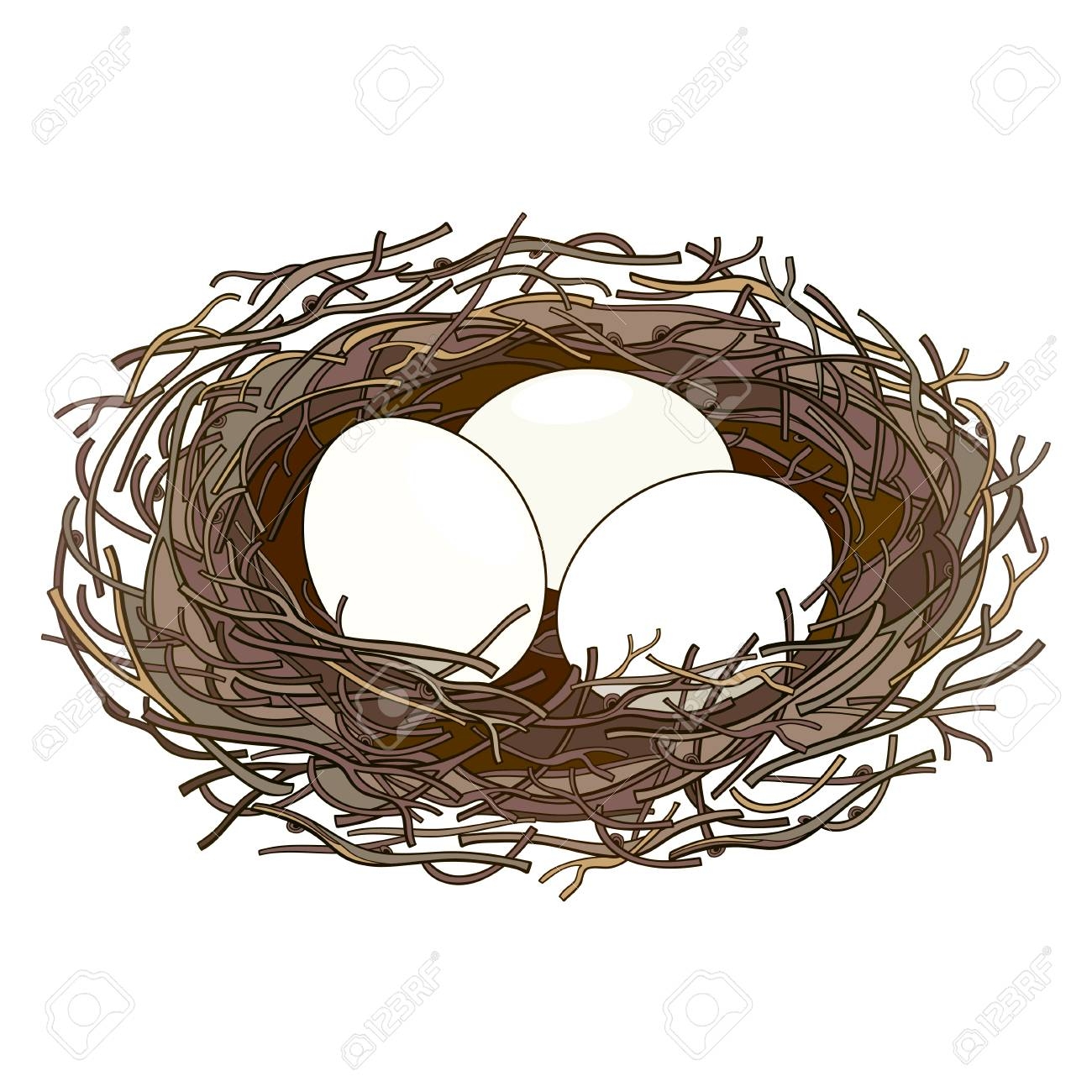 Гнездо из веток на белом фоне