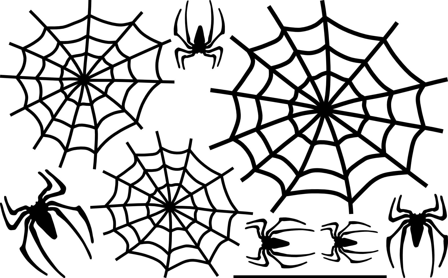 Паутина человека паука без паука. Паутина рисунок. Паук раскраска для детей. Паутина человека паука. Паутина картинка для детей.
