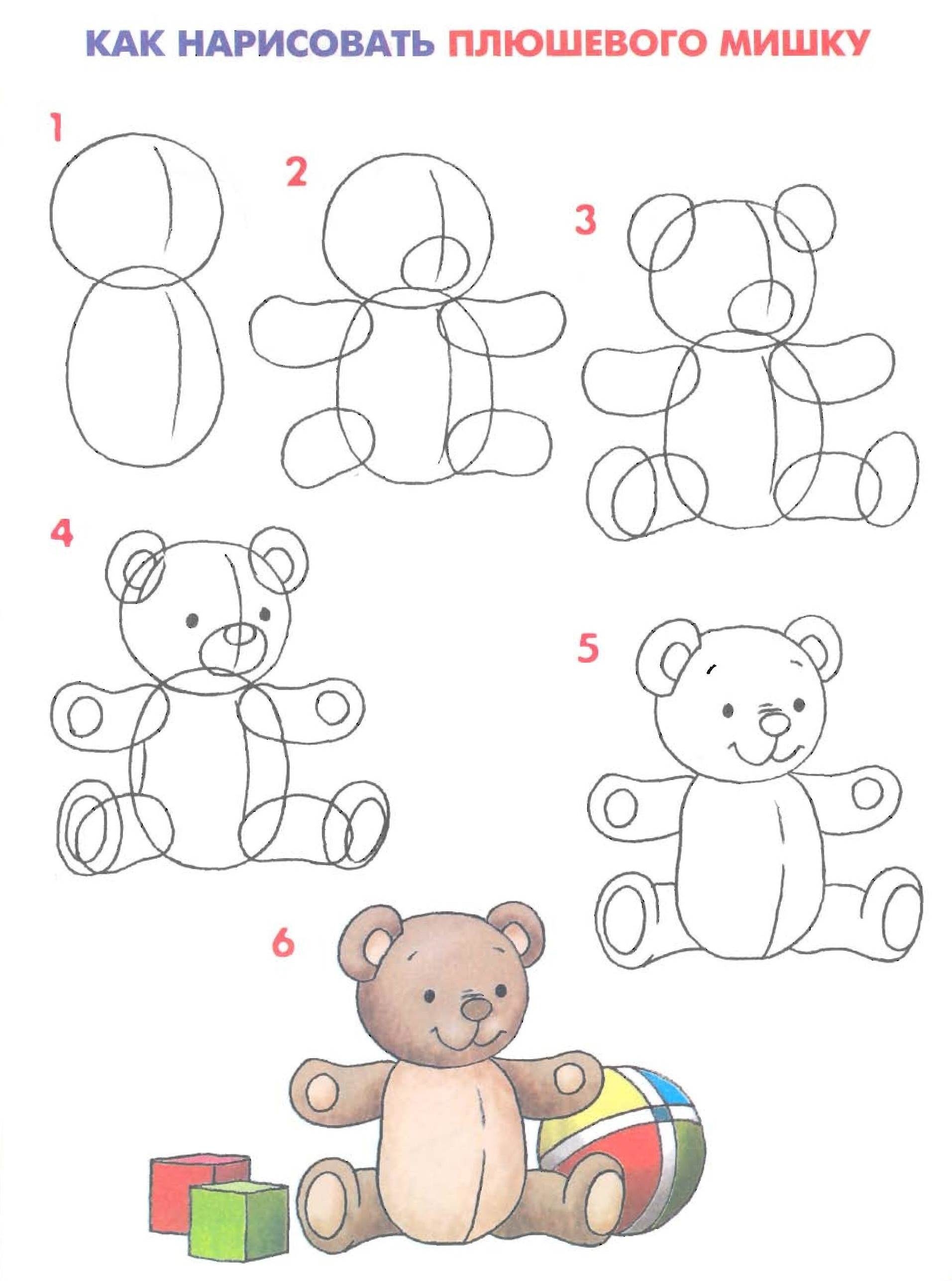 Как нарисовать медведя: пошаговое руководство