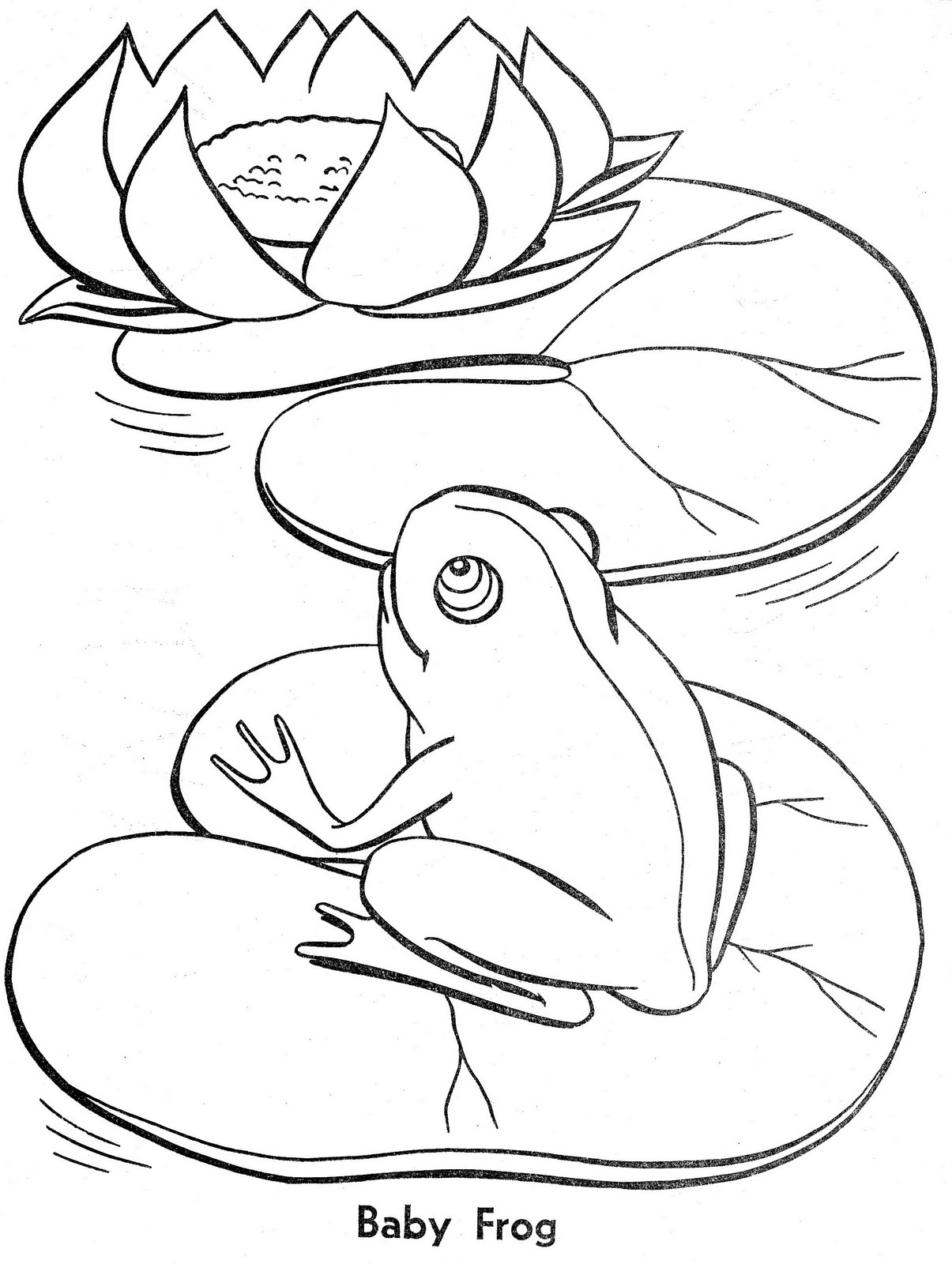 Лягушонок и водяная Лилия рисование