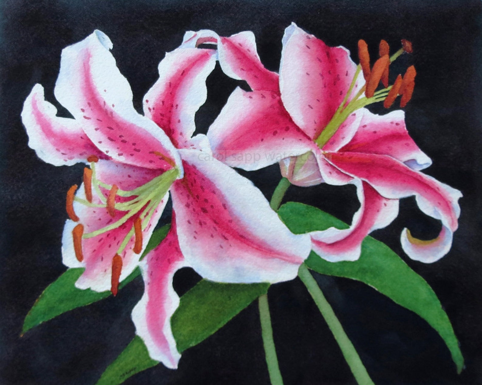 Lily Watercolor