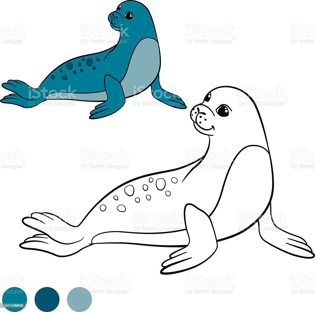 Каким цветом раскрасить тюленя