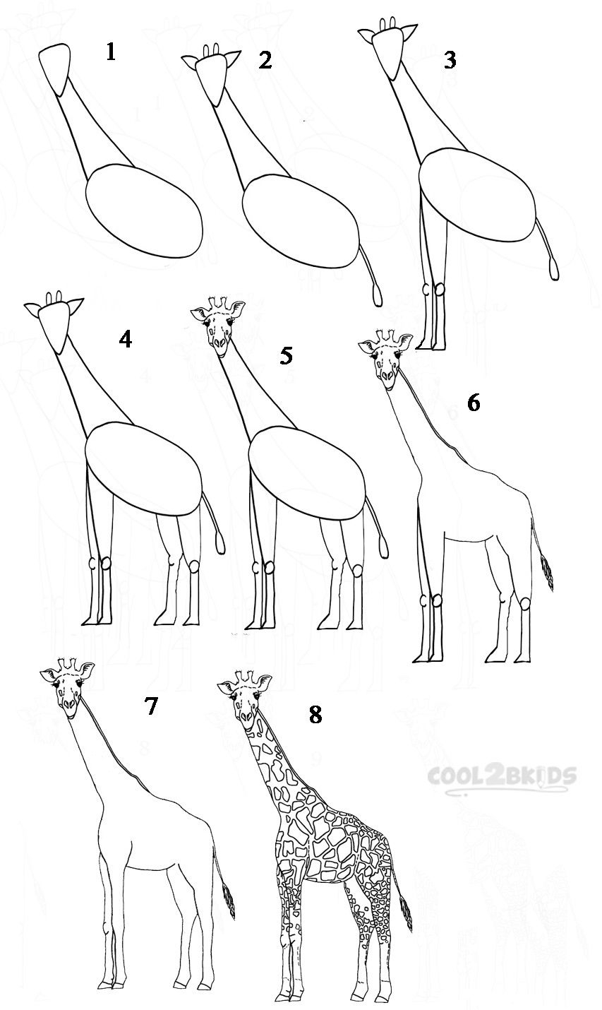 Жираф поэтапно для детей. Жираф рисунок. Нарисовать жирафа. Схема рисования жирафа. Нарисовать жирафа поэтапно.