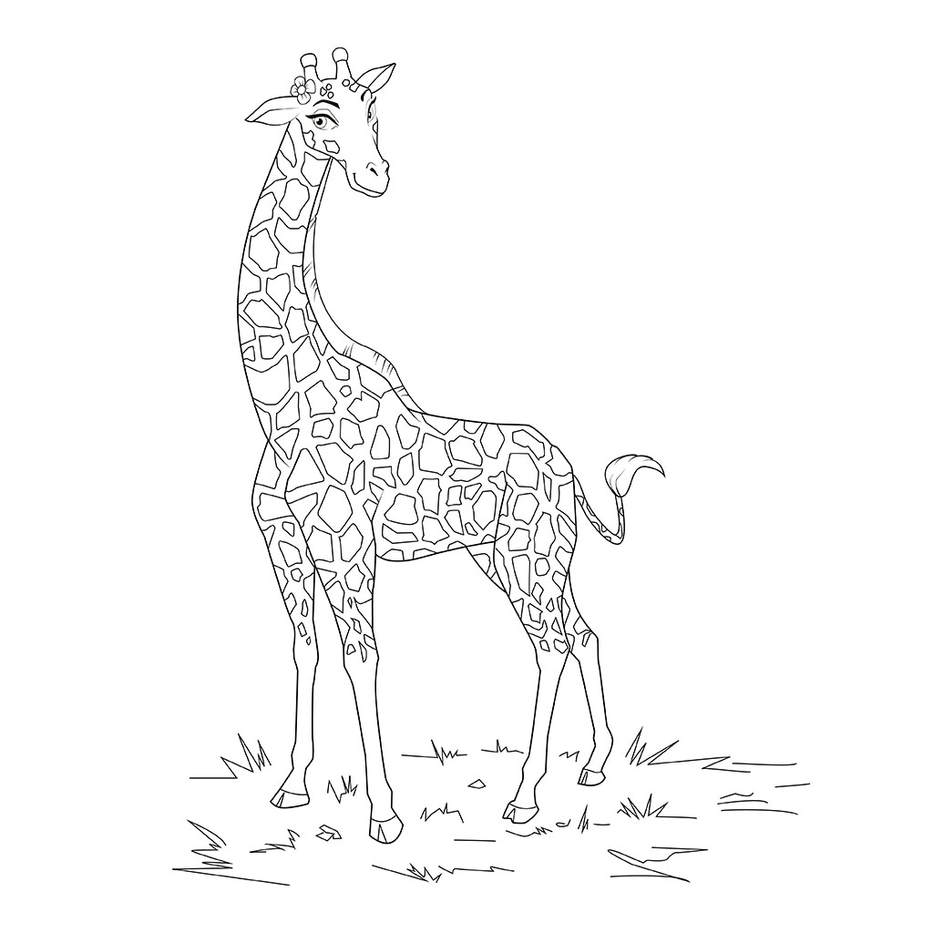 Нарисовать Жираф 1 класс окружающий мир карандашом
