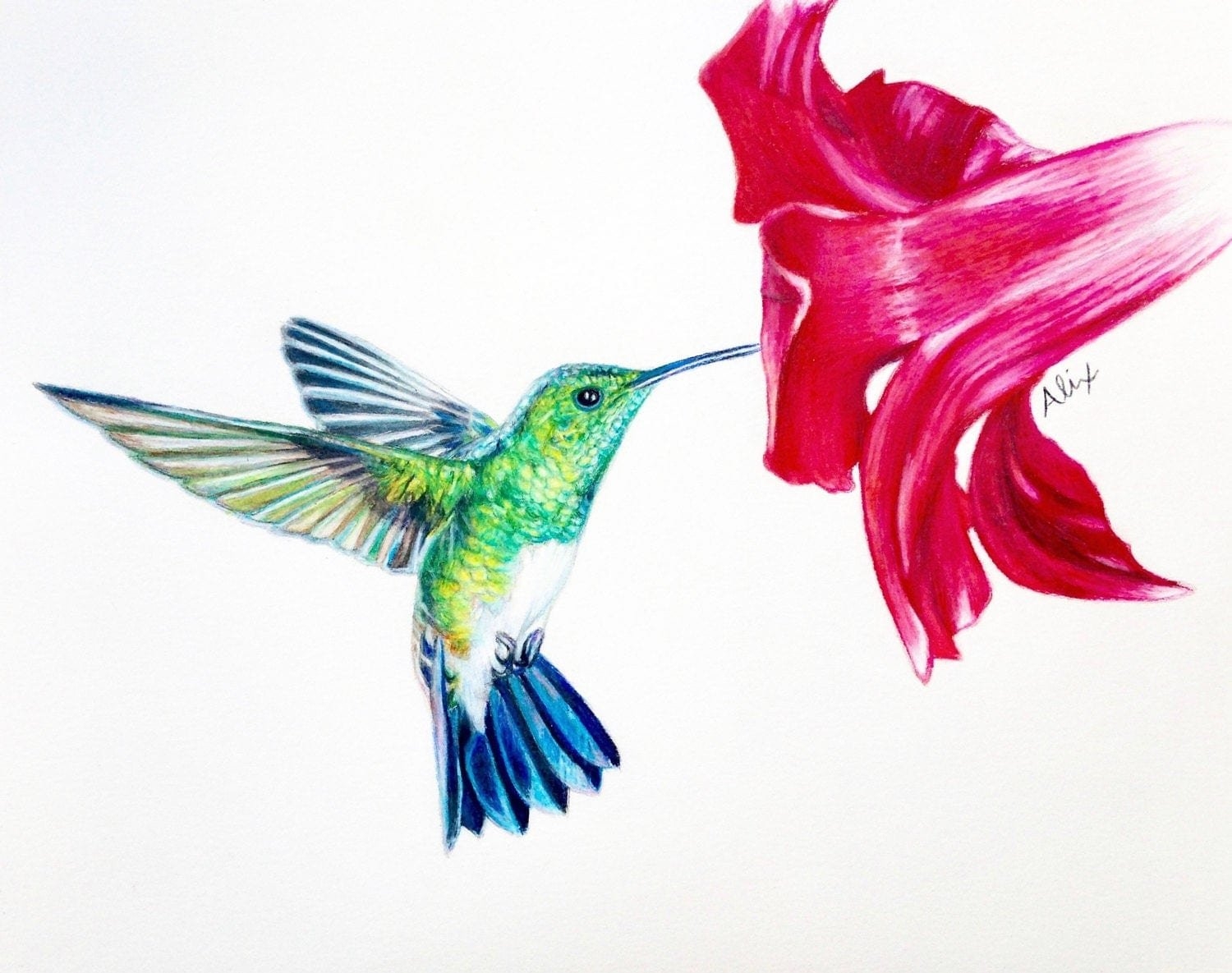 Алгоритм Hummingbird (Колибри)