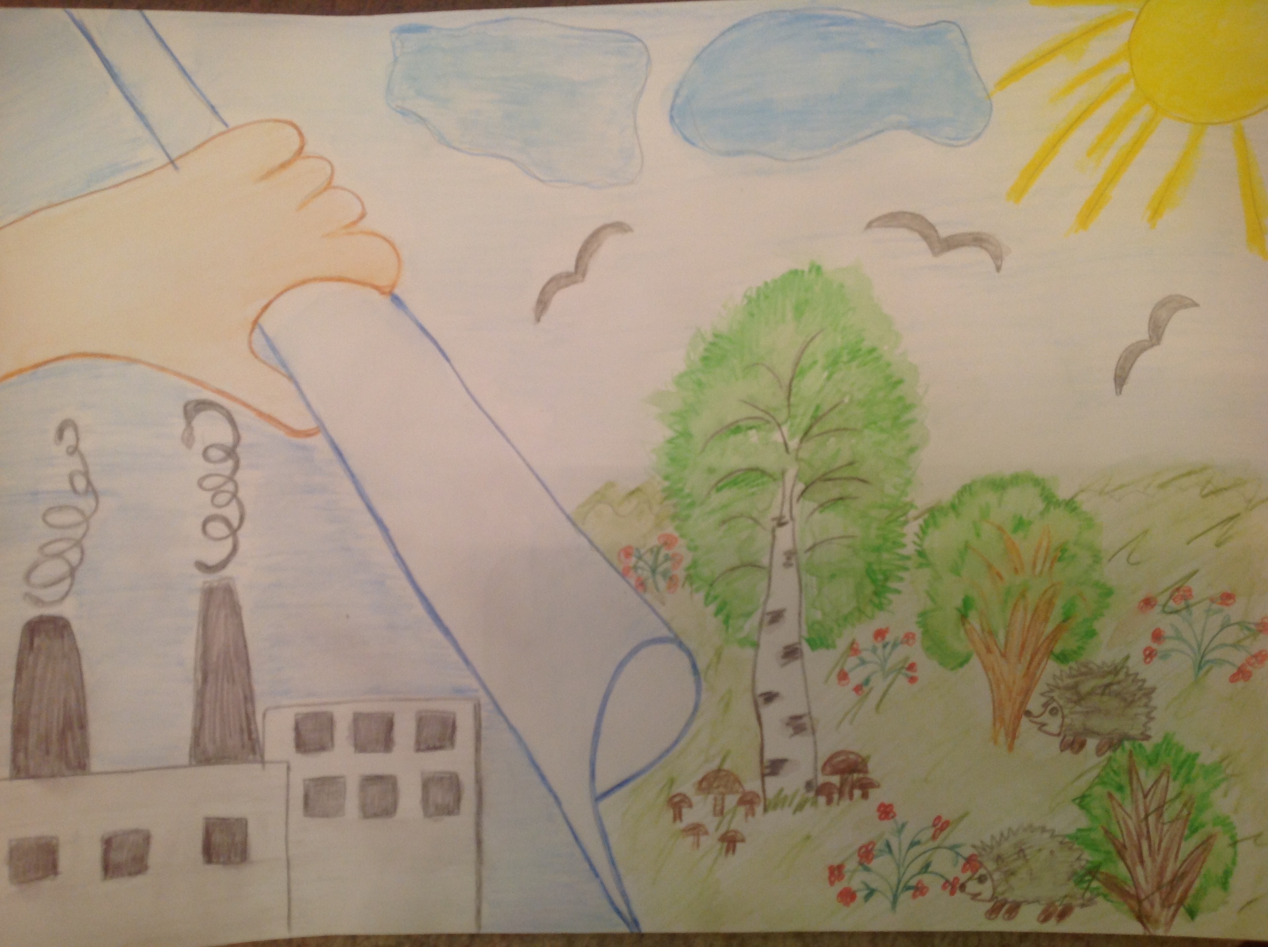 Рисунок на экологическую тему 2 класс