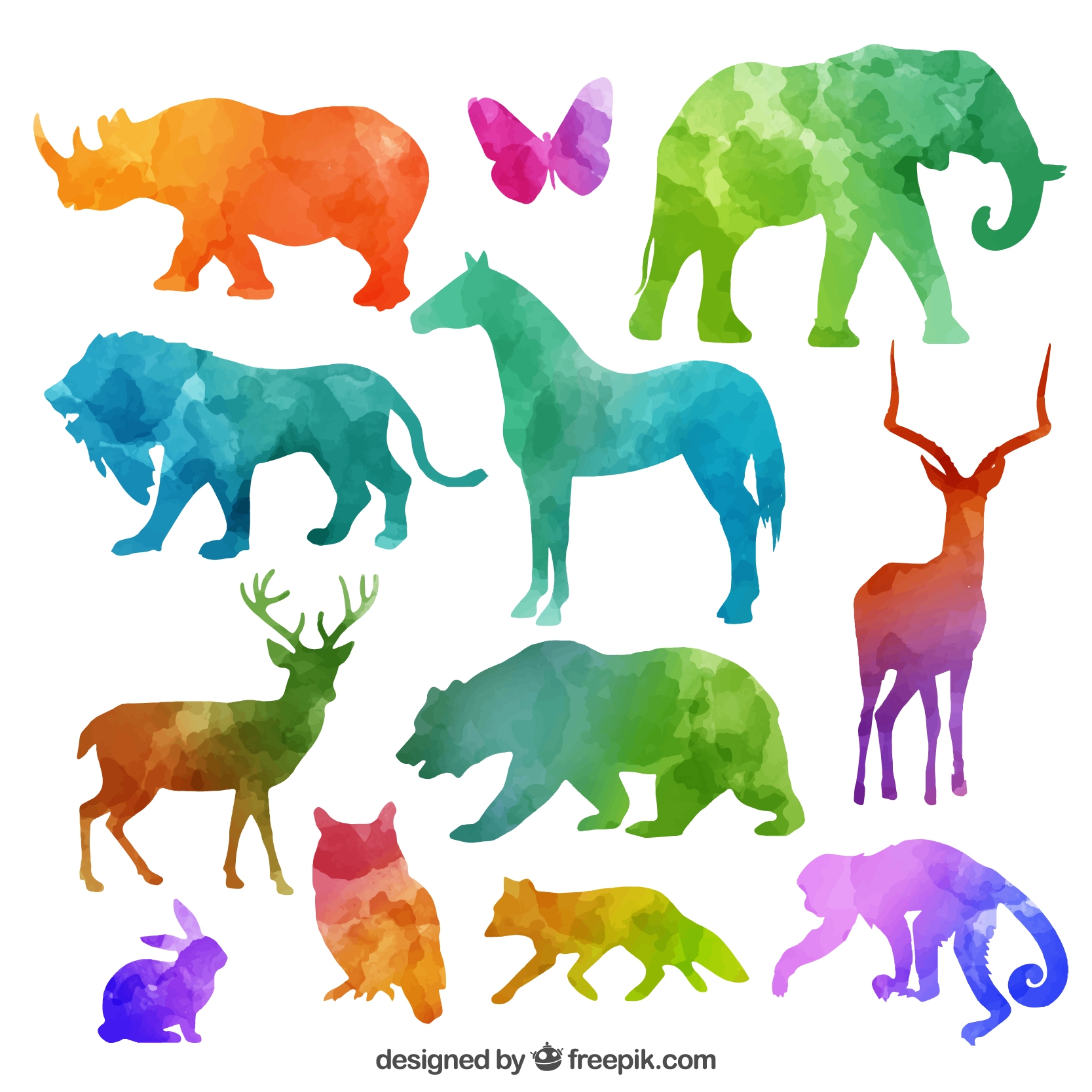 цветные картинки животных
