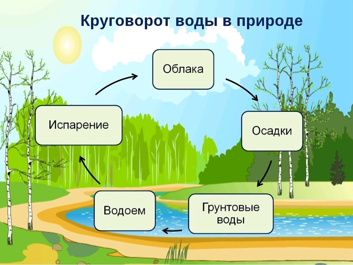 Круговорот воды рисунок для детей в природе - 60 фото