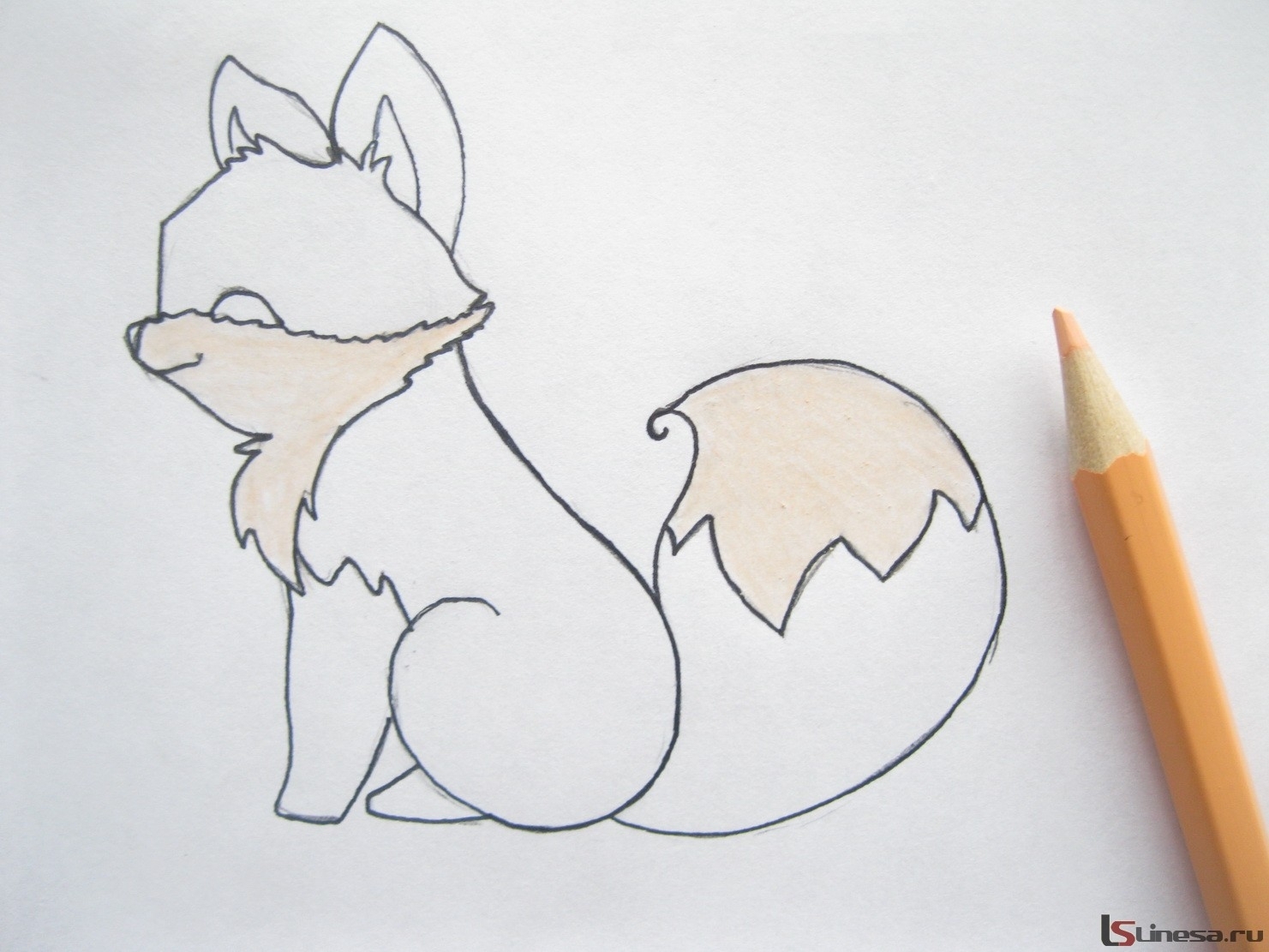 Лиса рисунок карандашом для срисовки