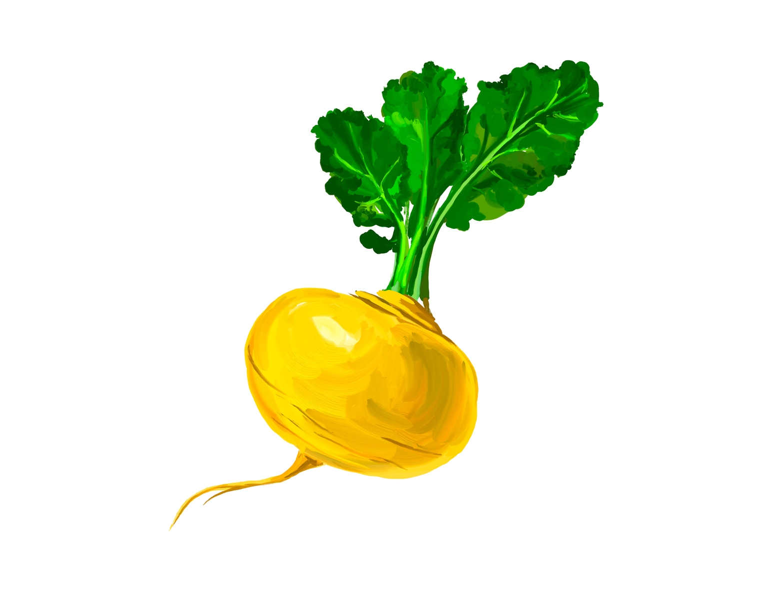 овощи желтого цвета картинки для детей