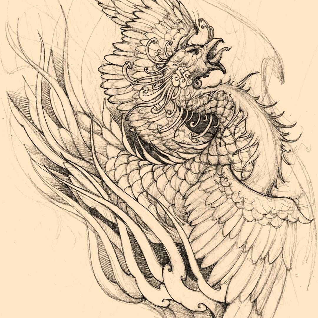 Феникс линиями. Irezumi Tattoo Sketch Феникс. Феникс эскиз Ориентал Япония. Птица Симург тату эскизы. Эскиз тату Феникс скетч.