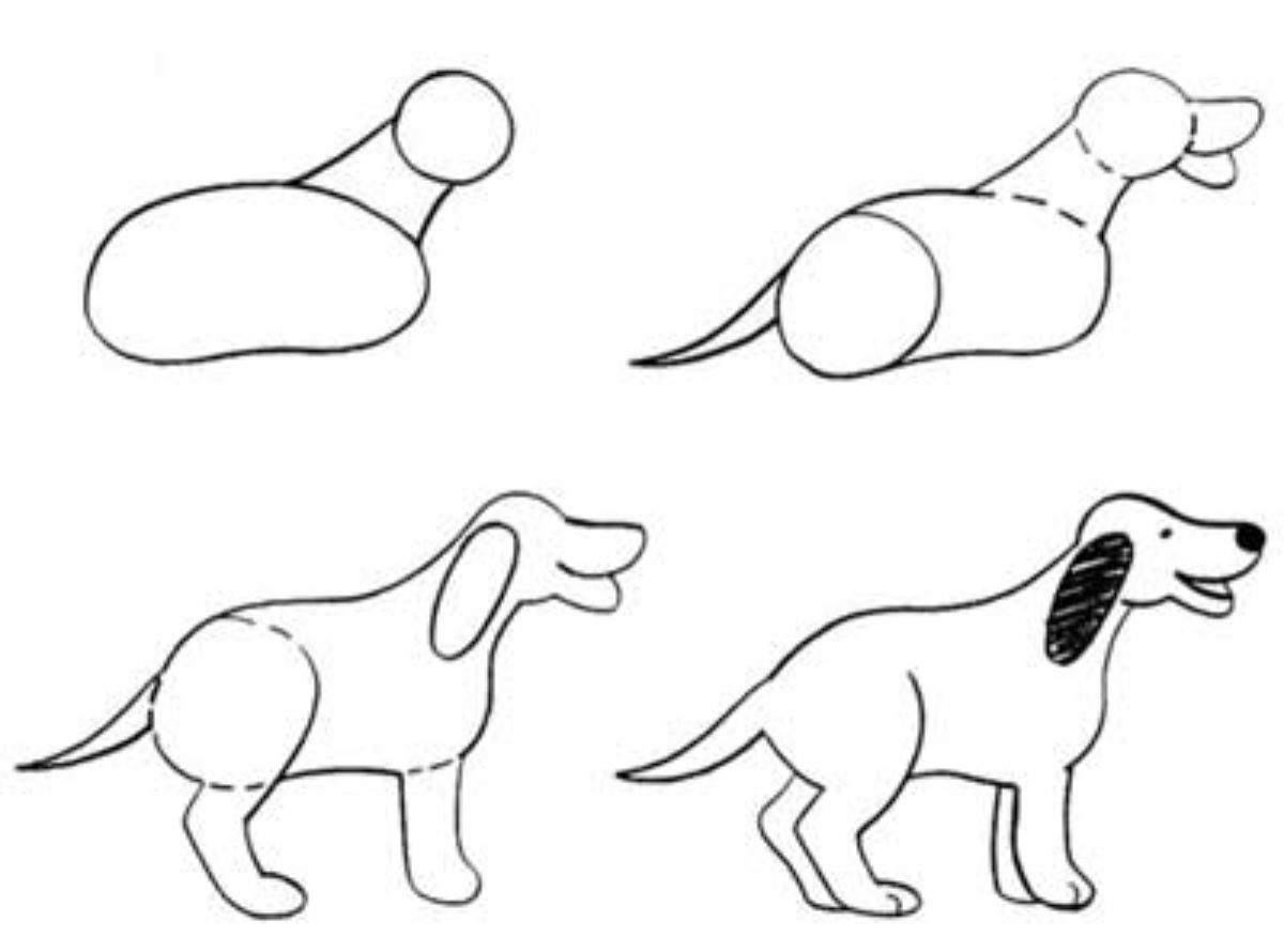 Схема рисования собаки в старшей группе