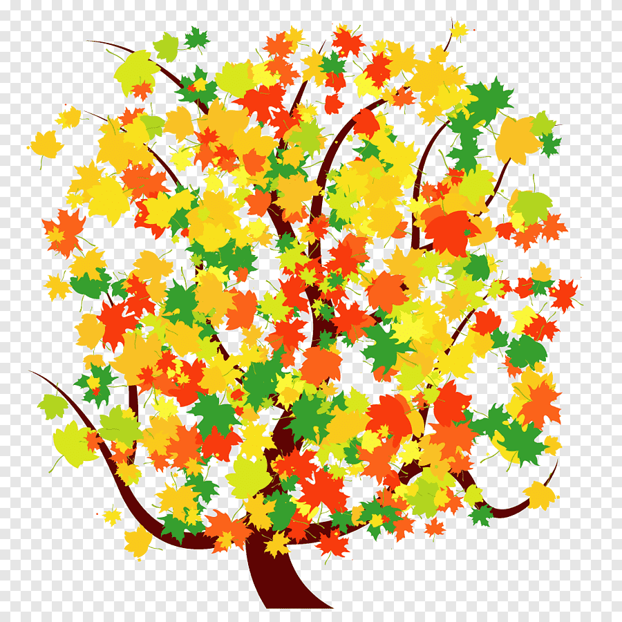 Осеннее дерево с разноцветными листьями