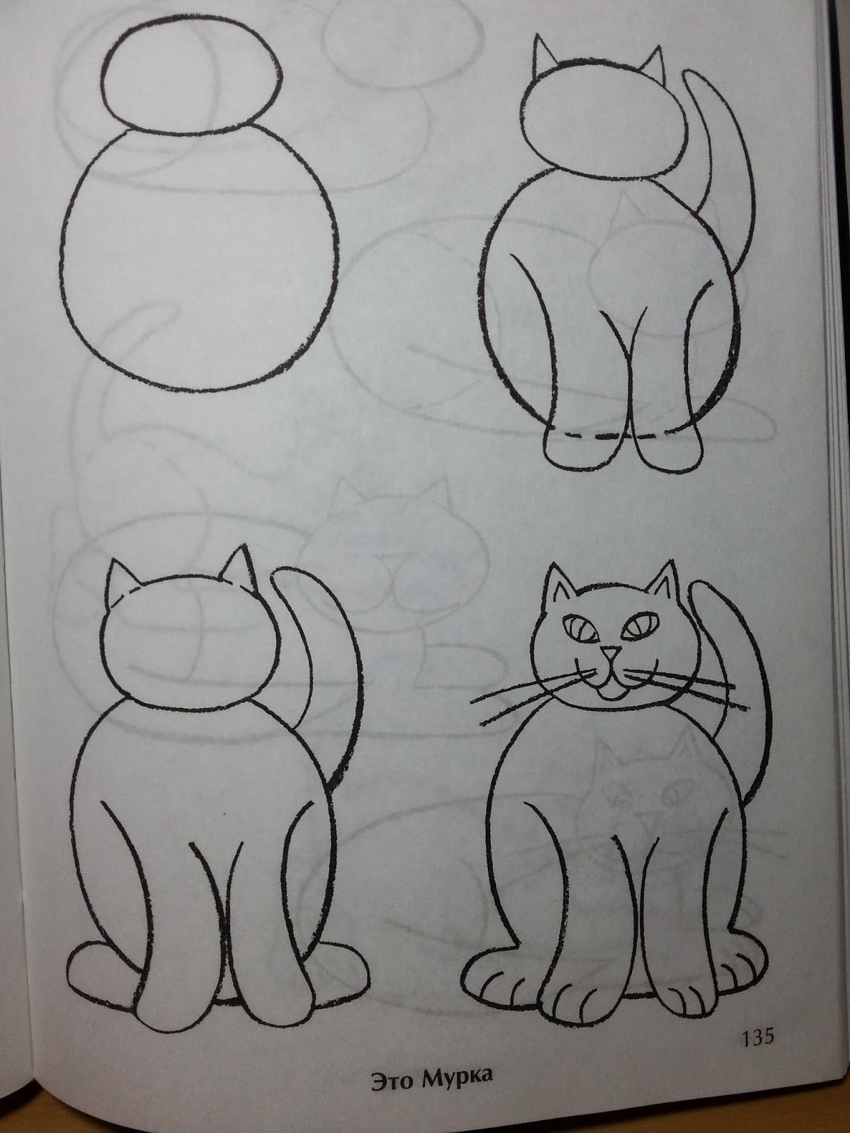 Поэтапное рисование кошки в средней группе