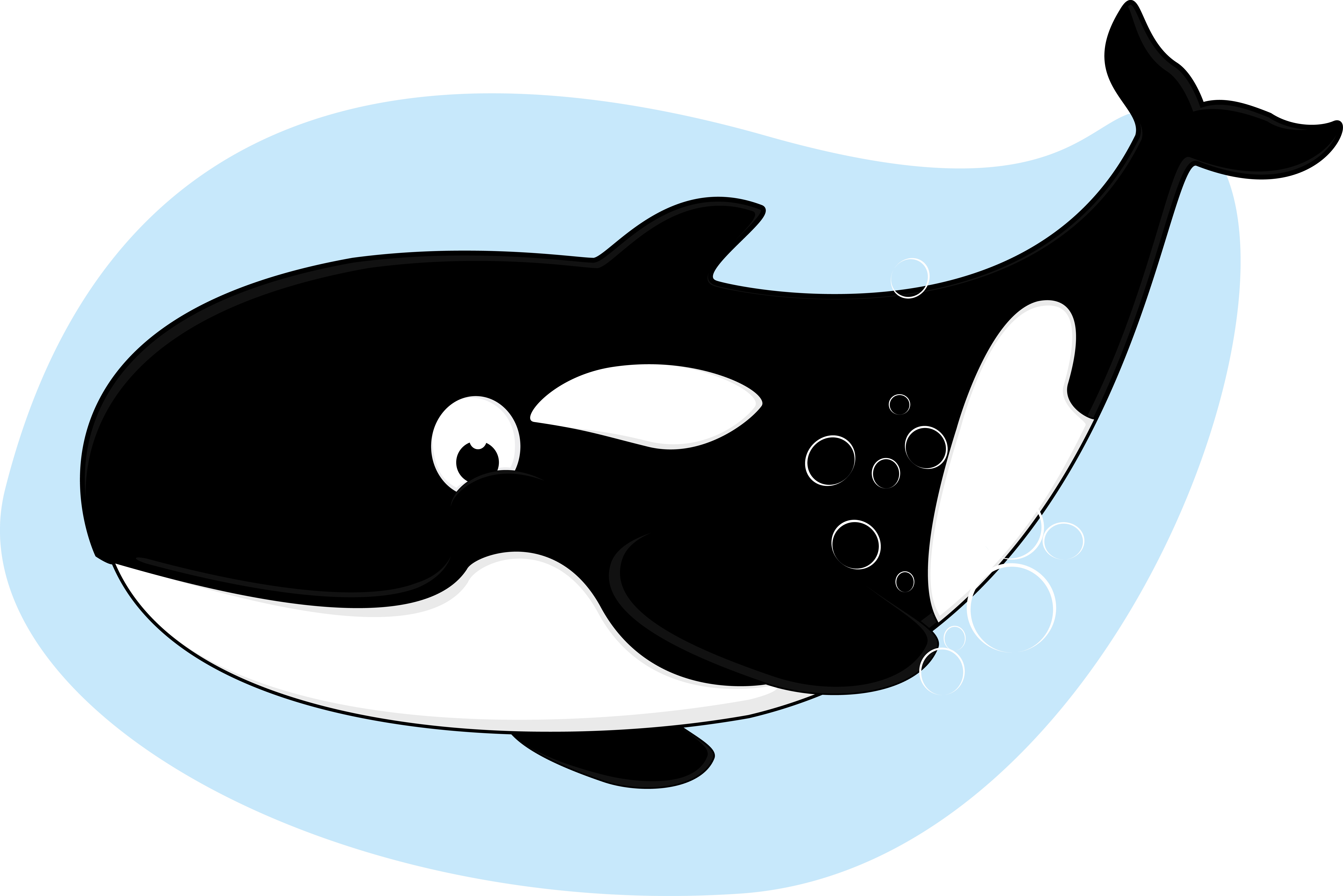 Картун кит убийца