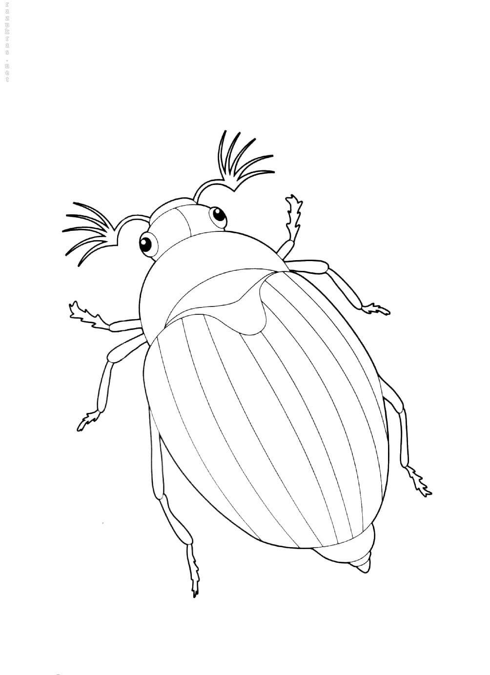 Рисунок для детей майский жук - 51 фото