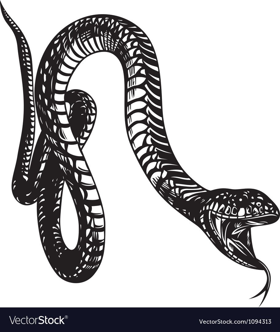 Змея с открытым ртом эскиз