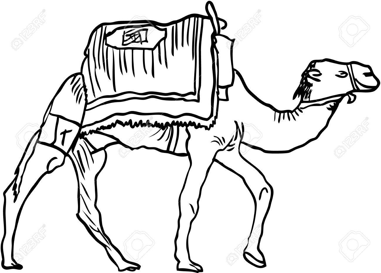 Верблюд с грузом