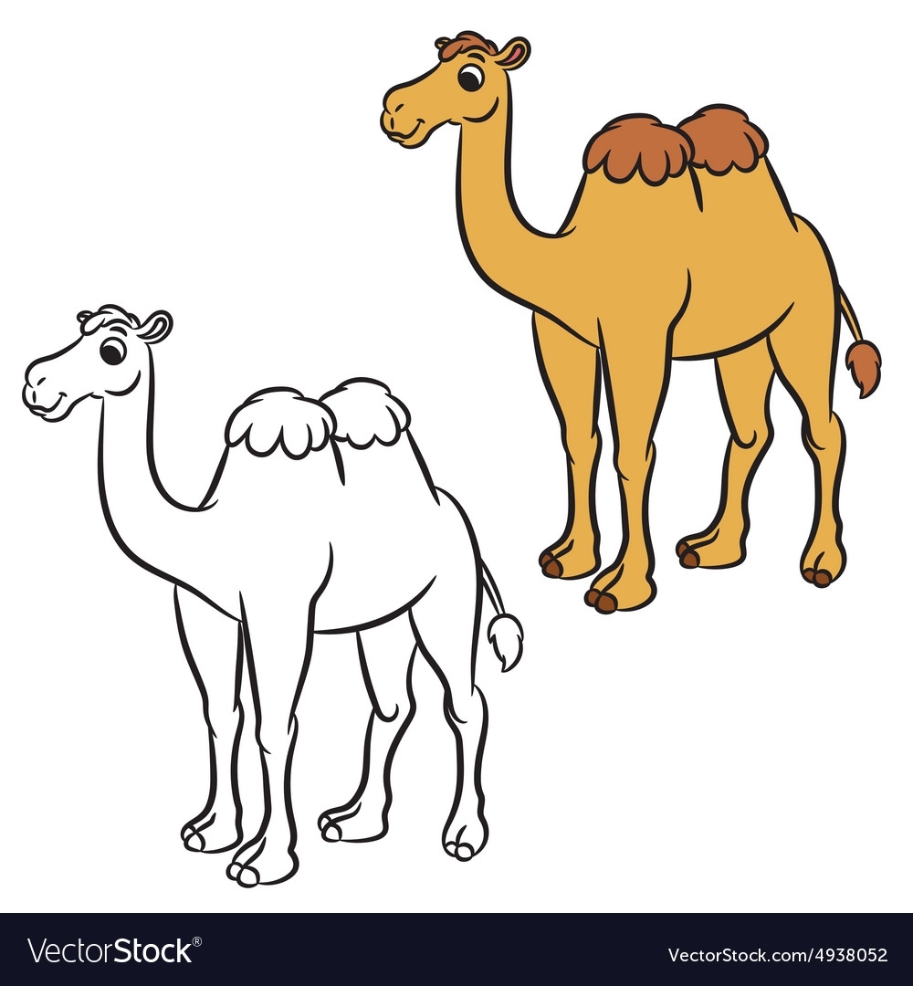 Верблюд картинка для детей