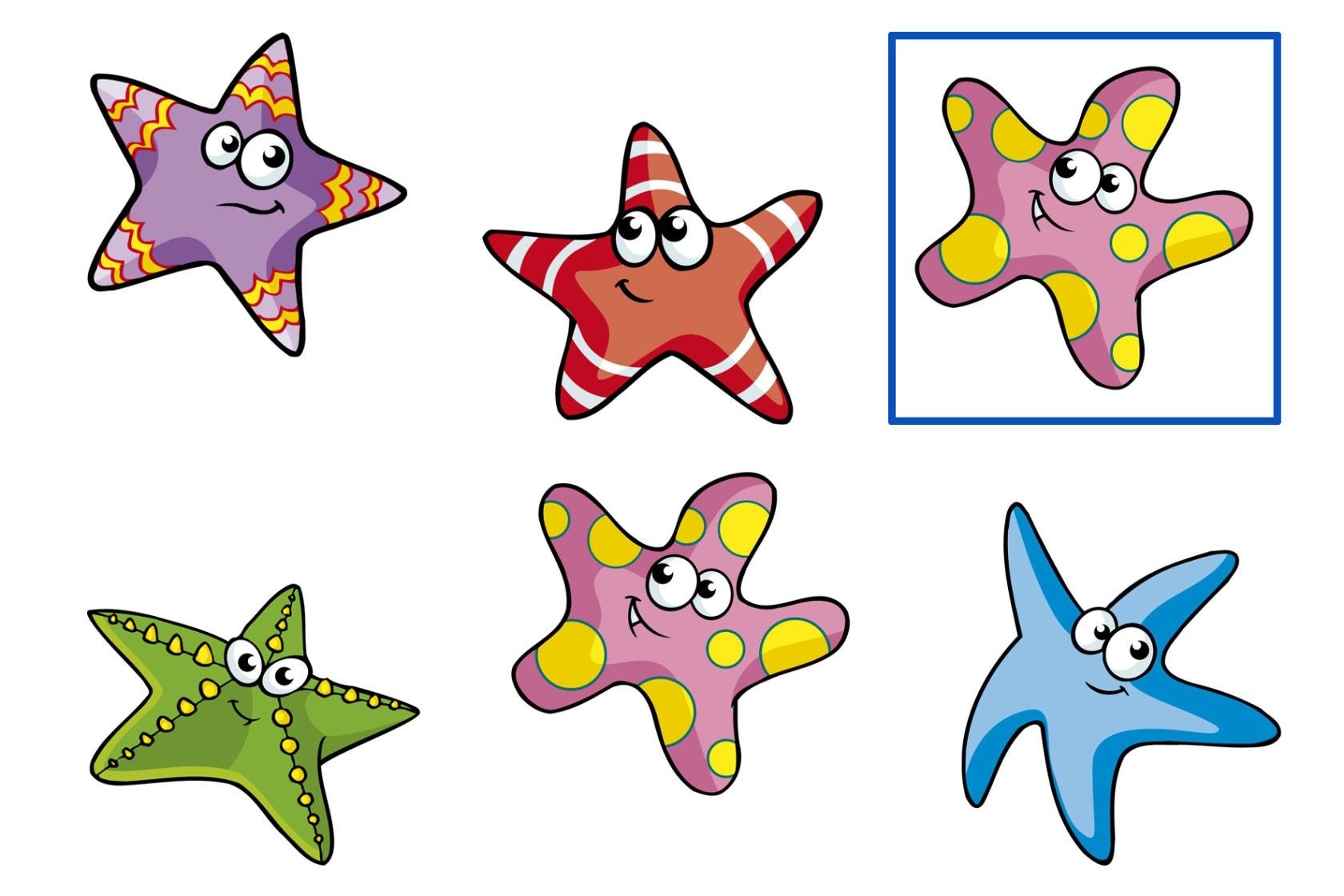 Морская звезда для дошкольников