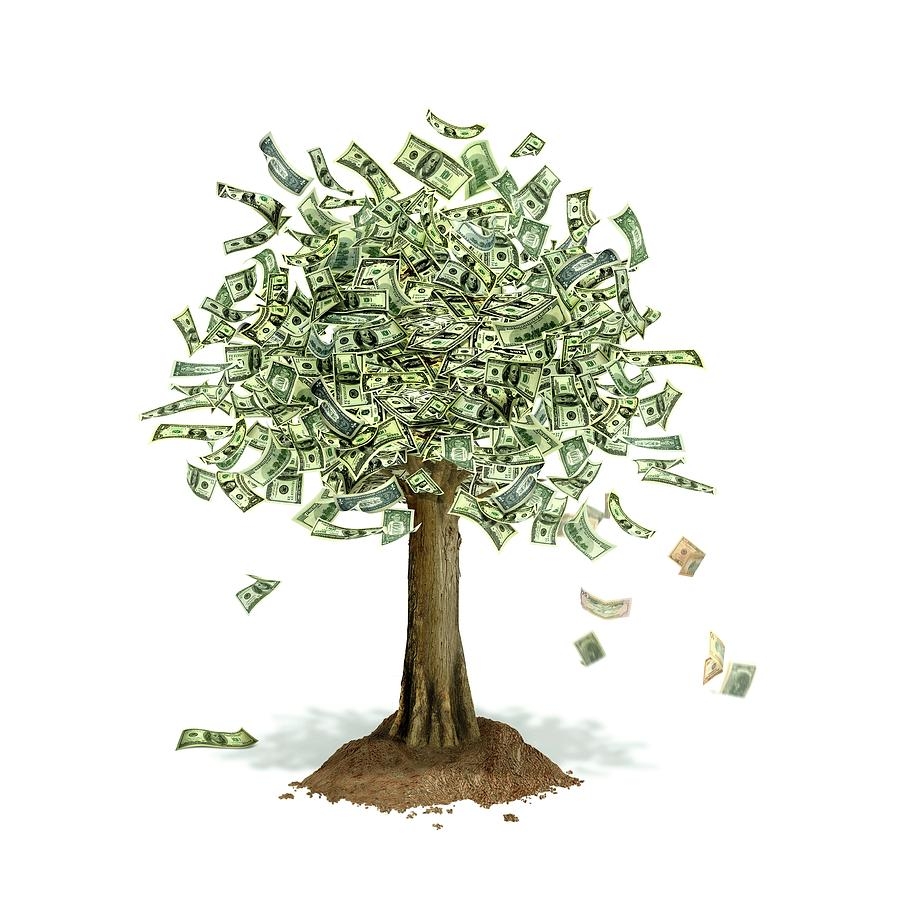 Детский рисунок денежное дерево