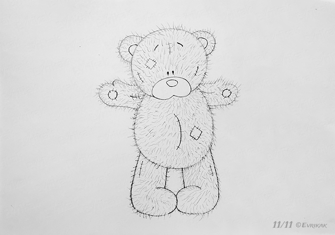 Как нарисовать мишку Тедди: процесс