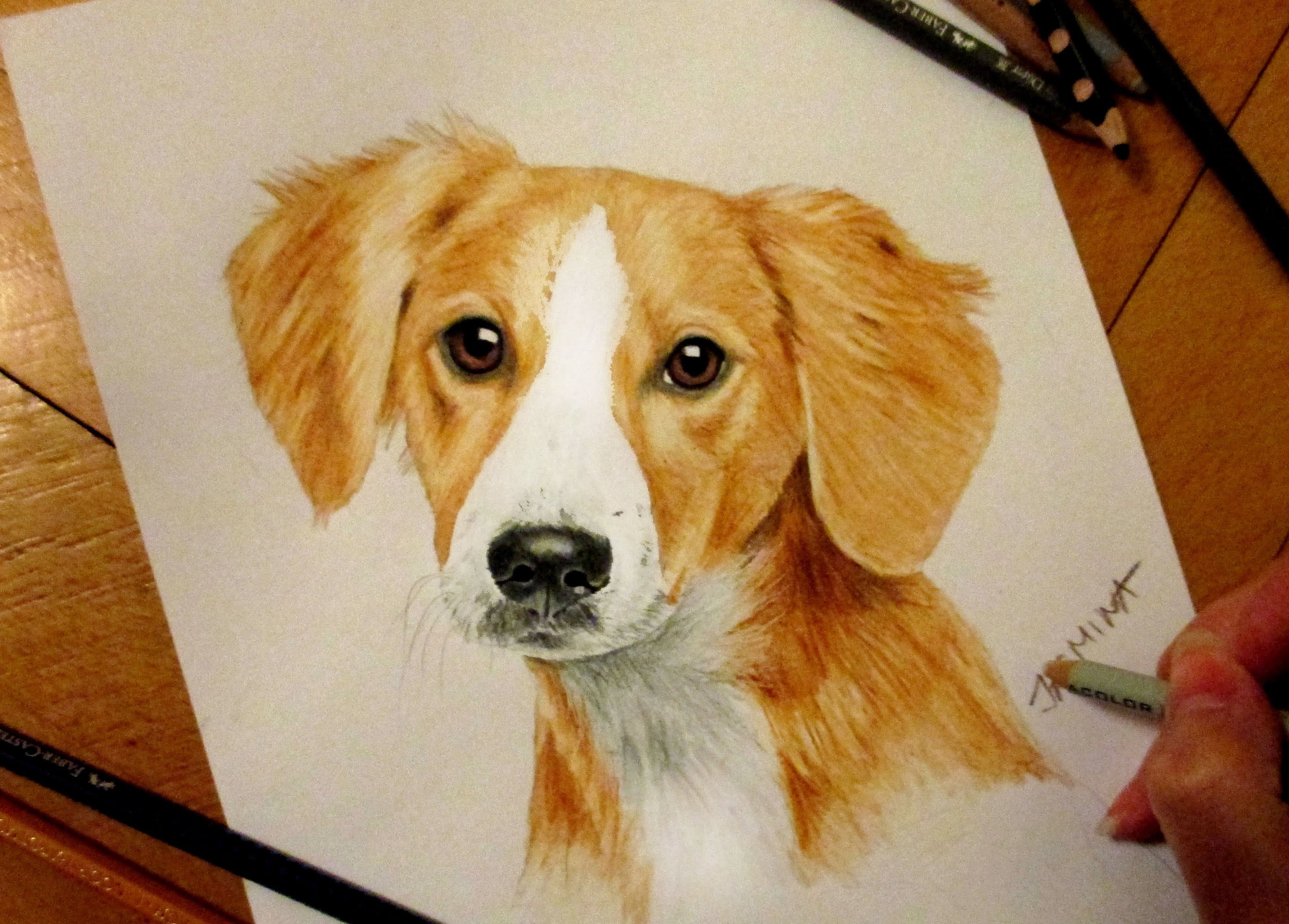 Собаки пастелью и цветными карандашами
