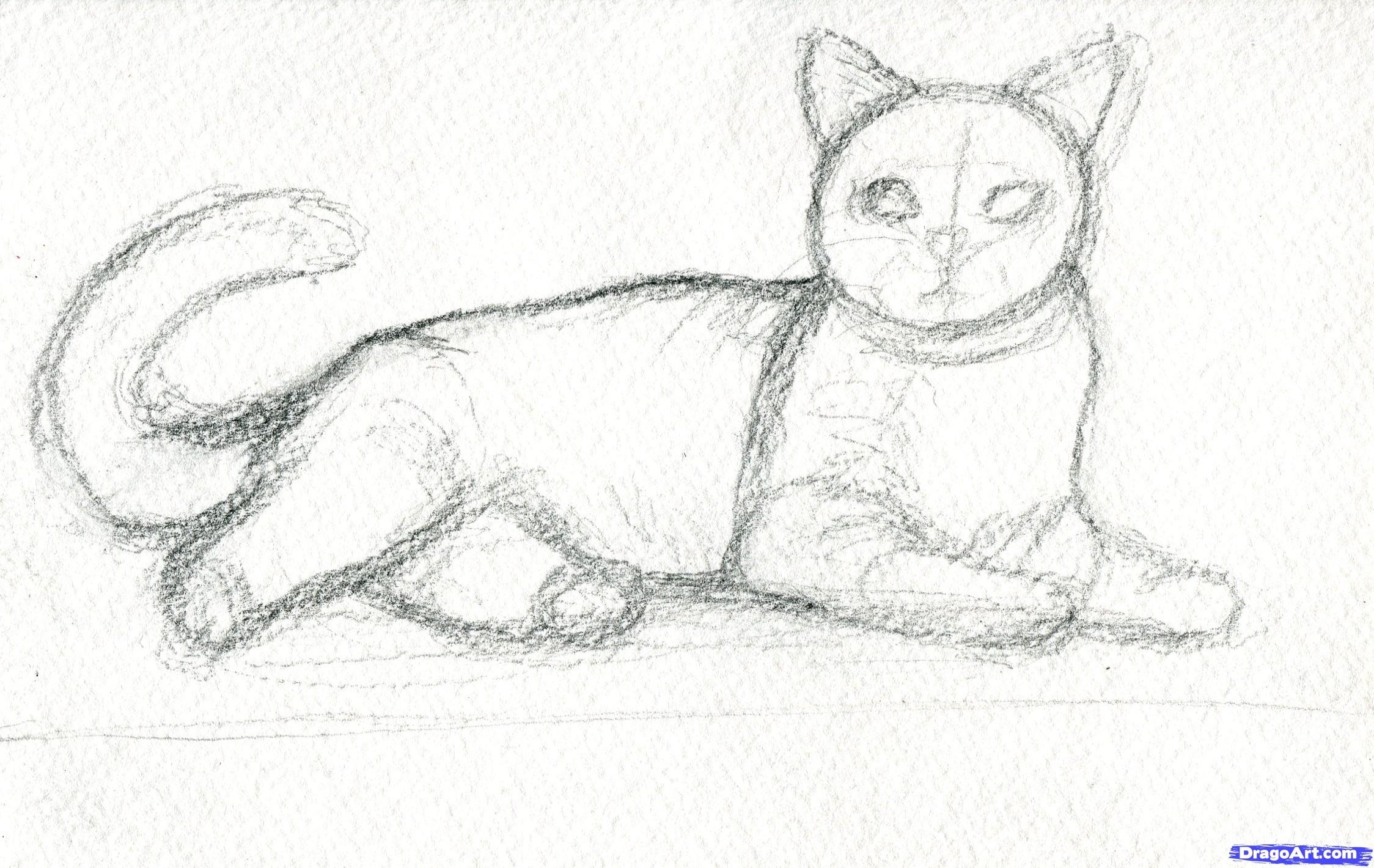 Сидячая кошка карандашом