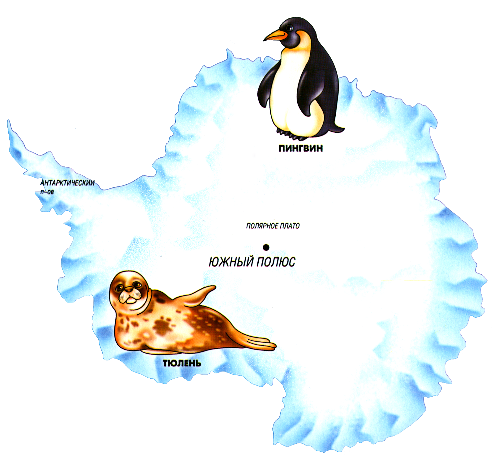 Континент Антарктида для детей. Антарктида материк для детей. Антарктида для дошкольников. Антарктида на карте для детей.