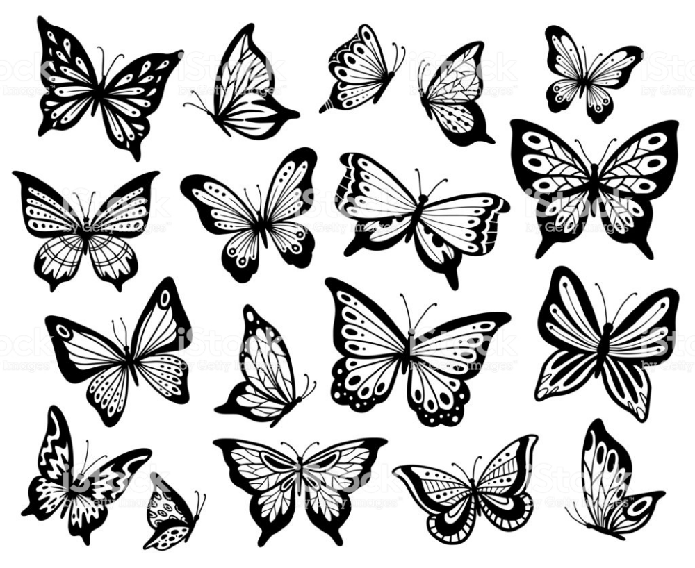 Alas de mariposa dibujo