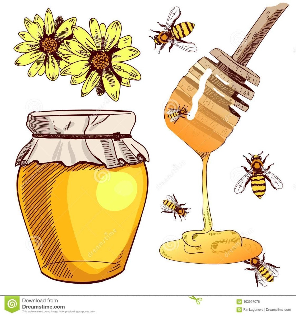 Нарисовать мед