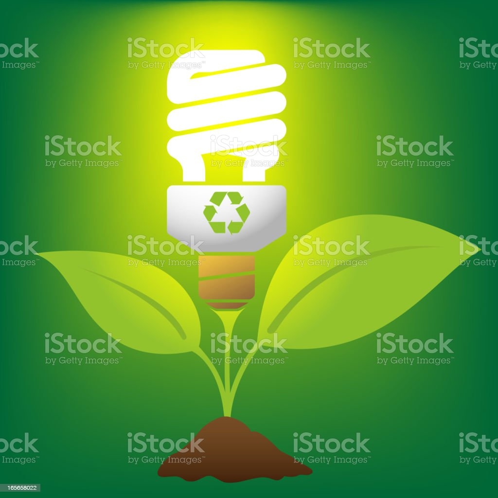 Lamp of growth