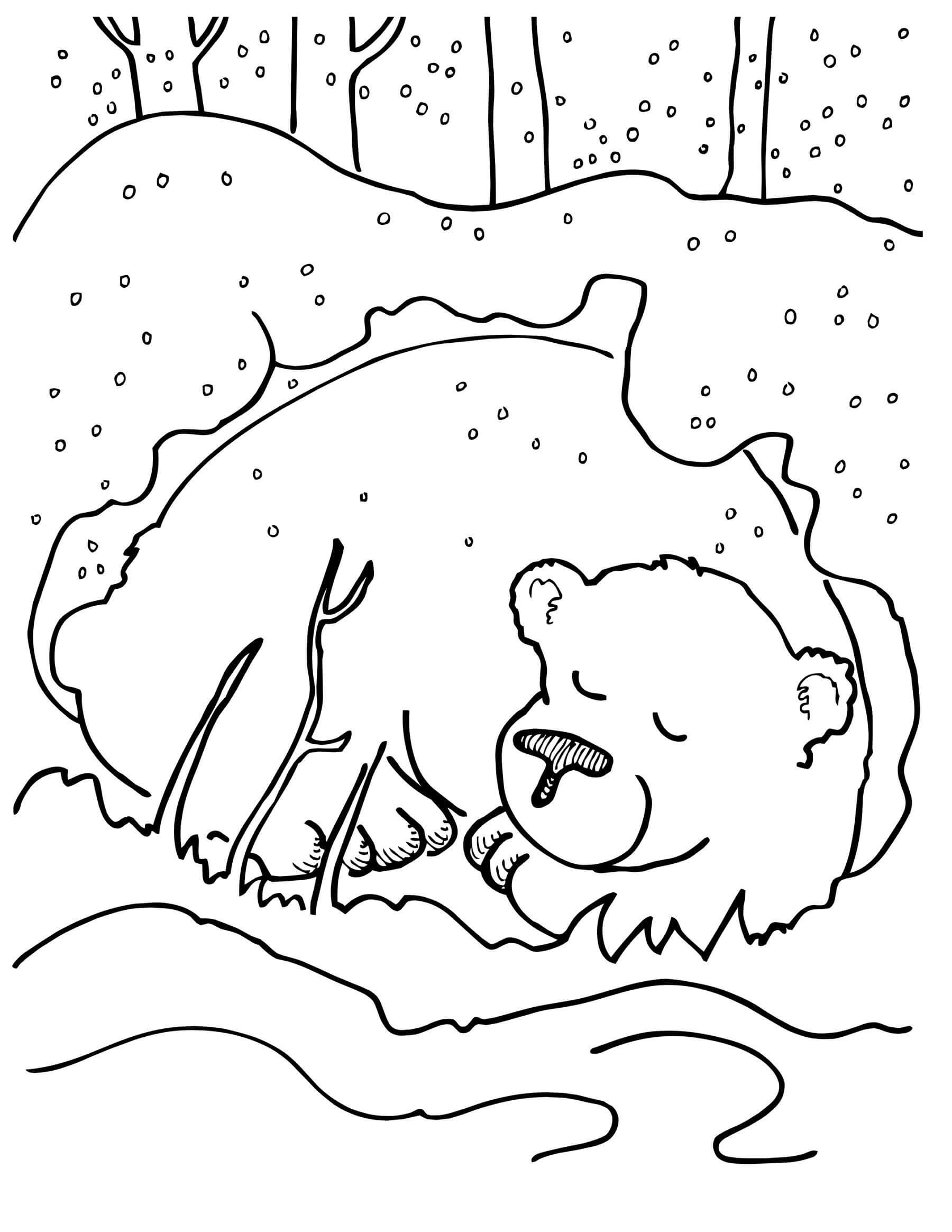 Медведь в берлоге раскраска для детей. Медведь зимой раскраска для детей. Раскраска мишка в берлоге для детей. Медведь раскраска для детей. В берлоге дремлет