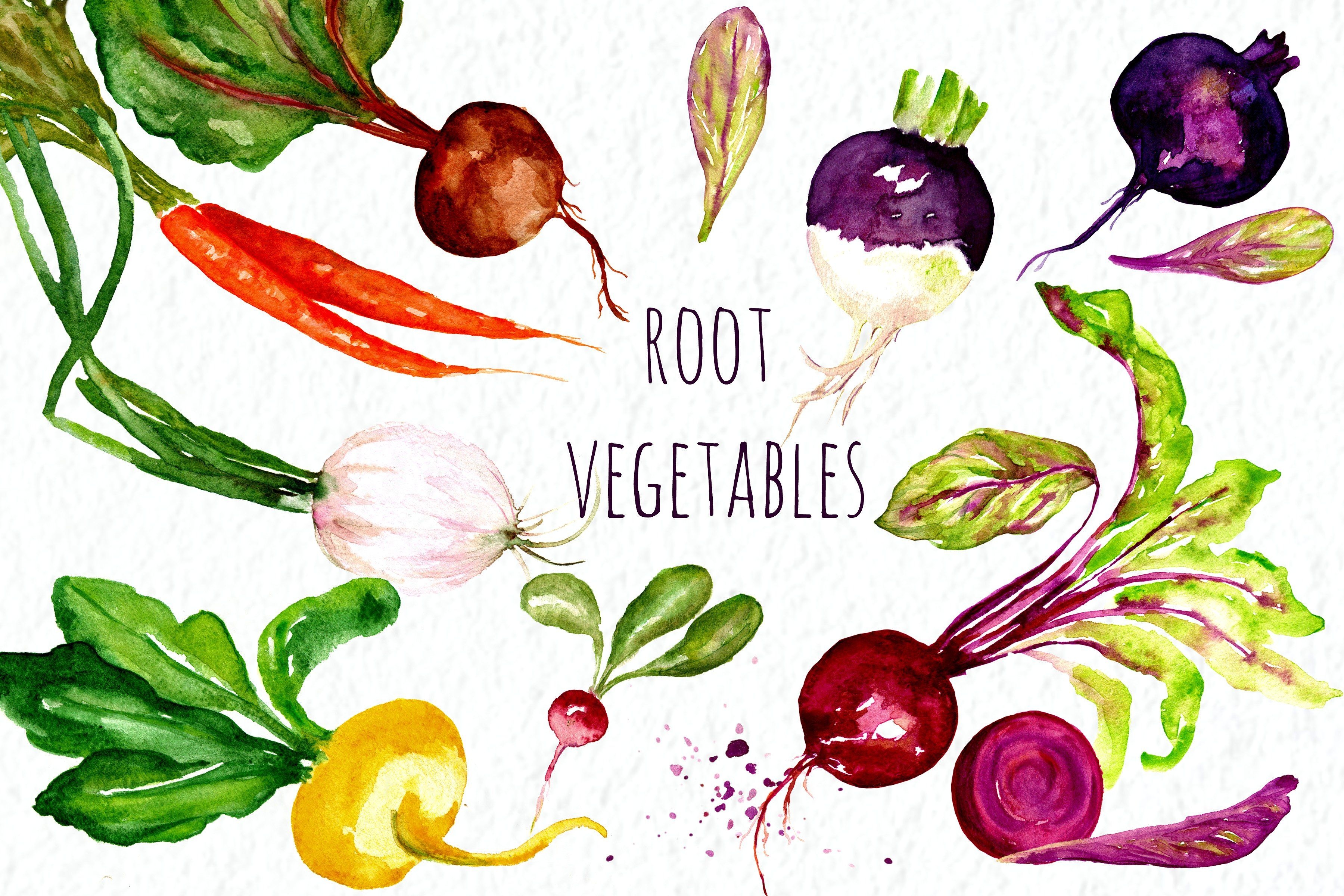 Здоровое питание рисунки акварелью овощи
