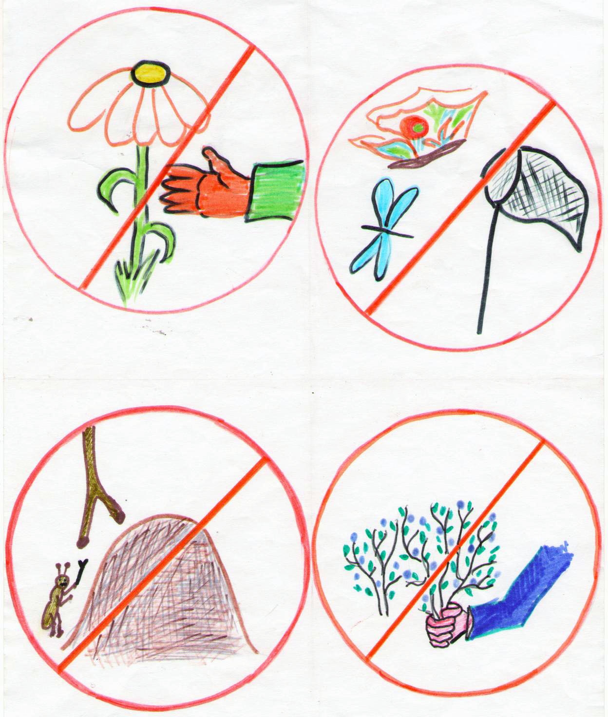 Экология рисунки дошкольников