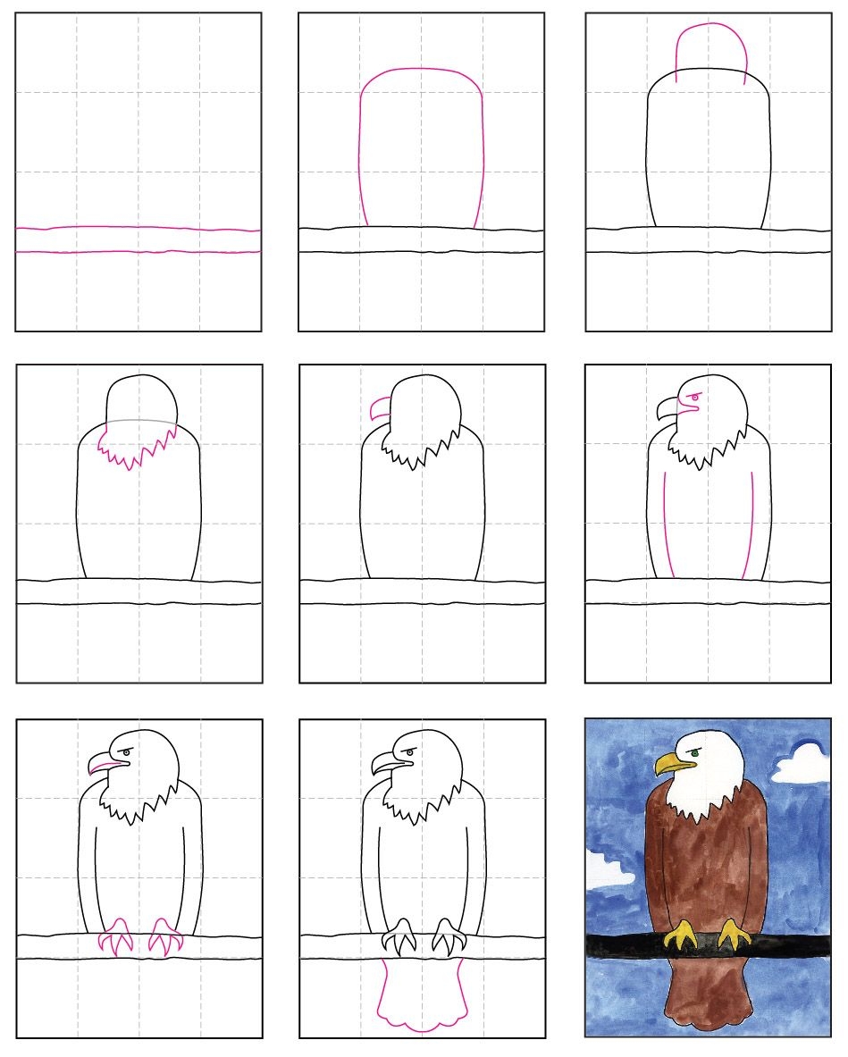 Пошаговое рисование орла для детей