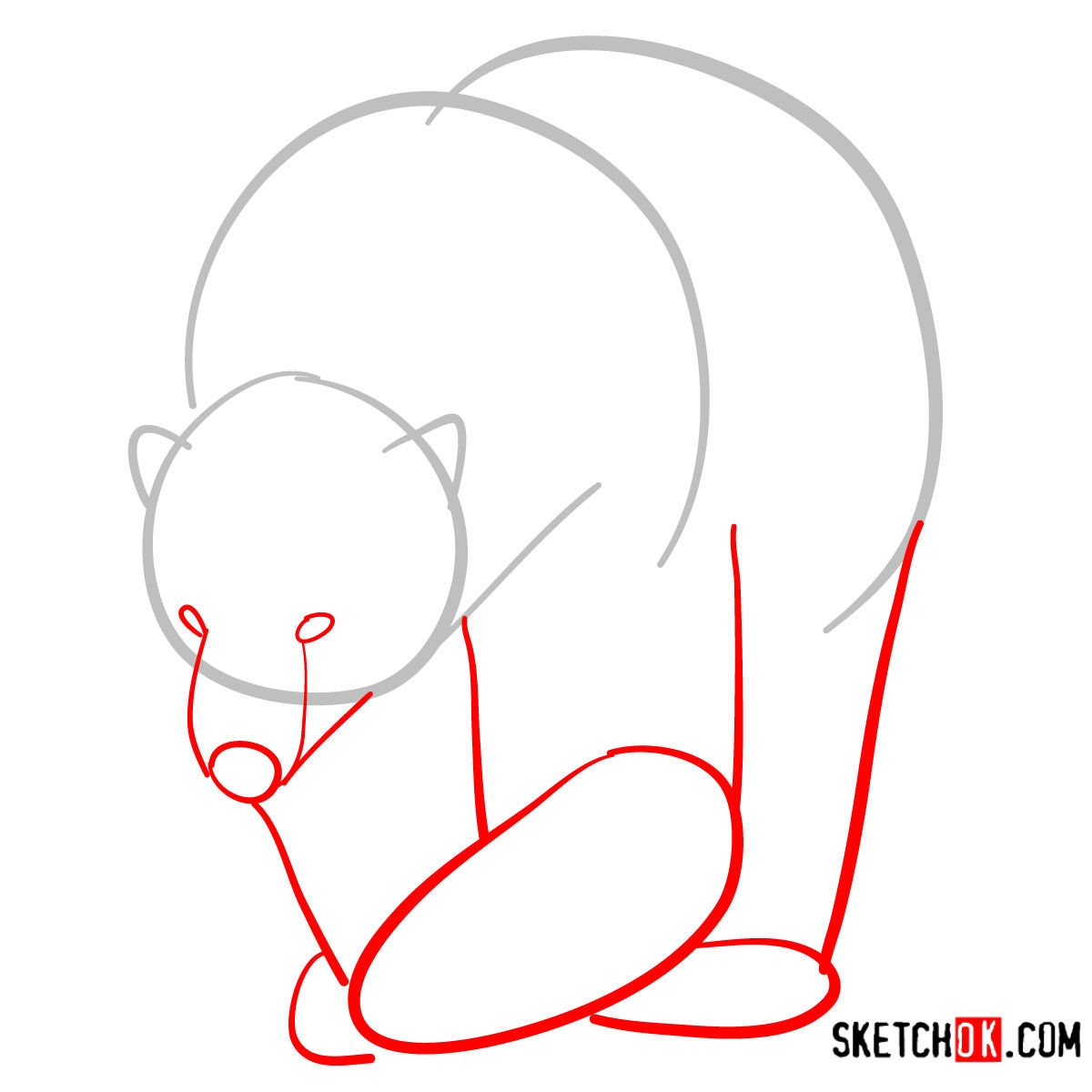Поэтапное рисование белого медведя