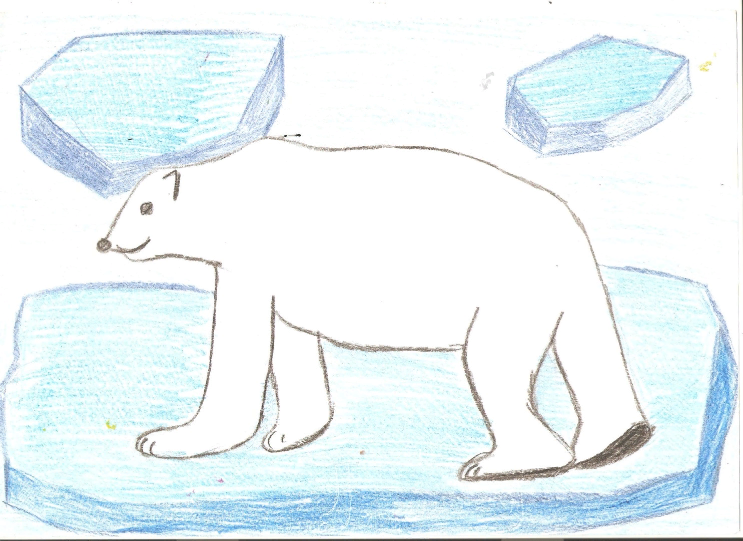 Как нарисовать белого медведя поэтапно для детей. Рисование белого медведя. Рисунки белого медведя для срисовки. Поэтапное рисование белого медведя. Детские рисунки белого медведя.