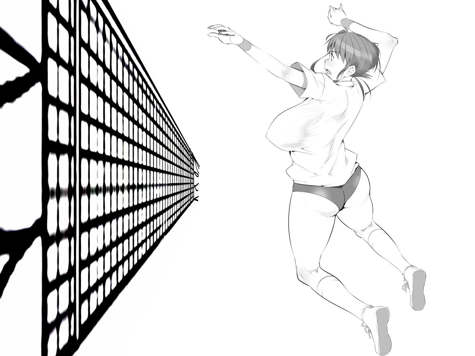 Волейбольная сетка аниме