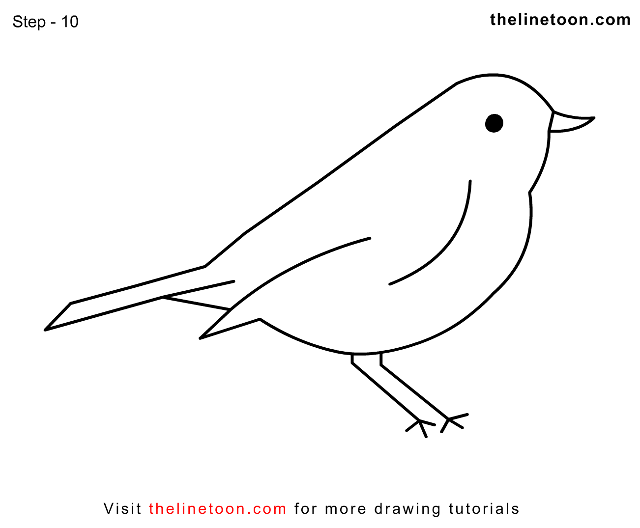 Схематичный рисунок птицы