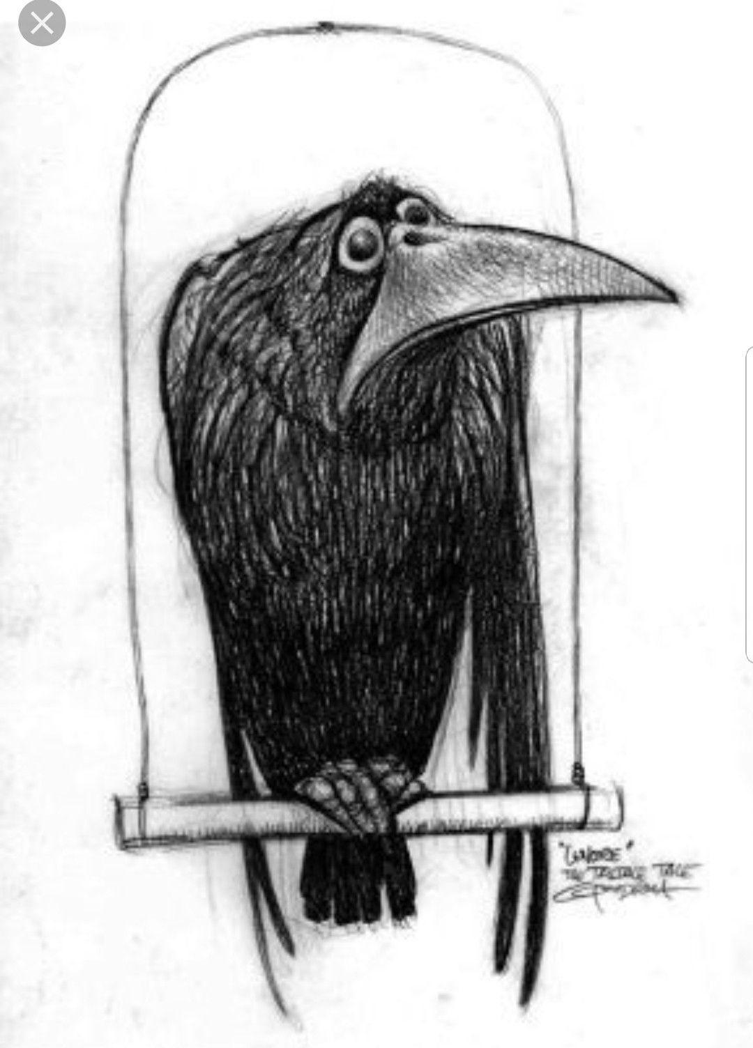 Рисунок вороны карандашом