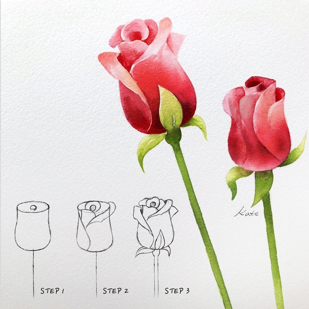 Рисунки розы в технике ППР