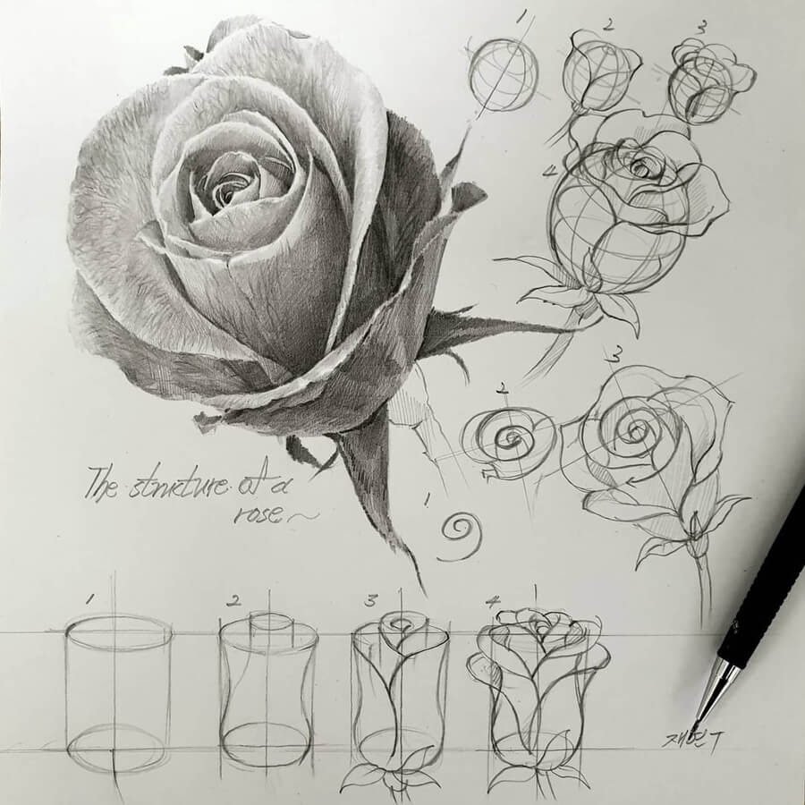 Скетчинг розы рисунок карандашом