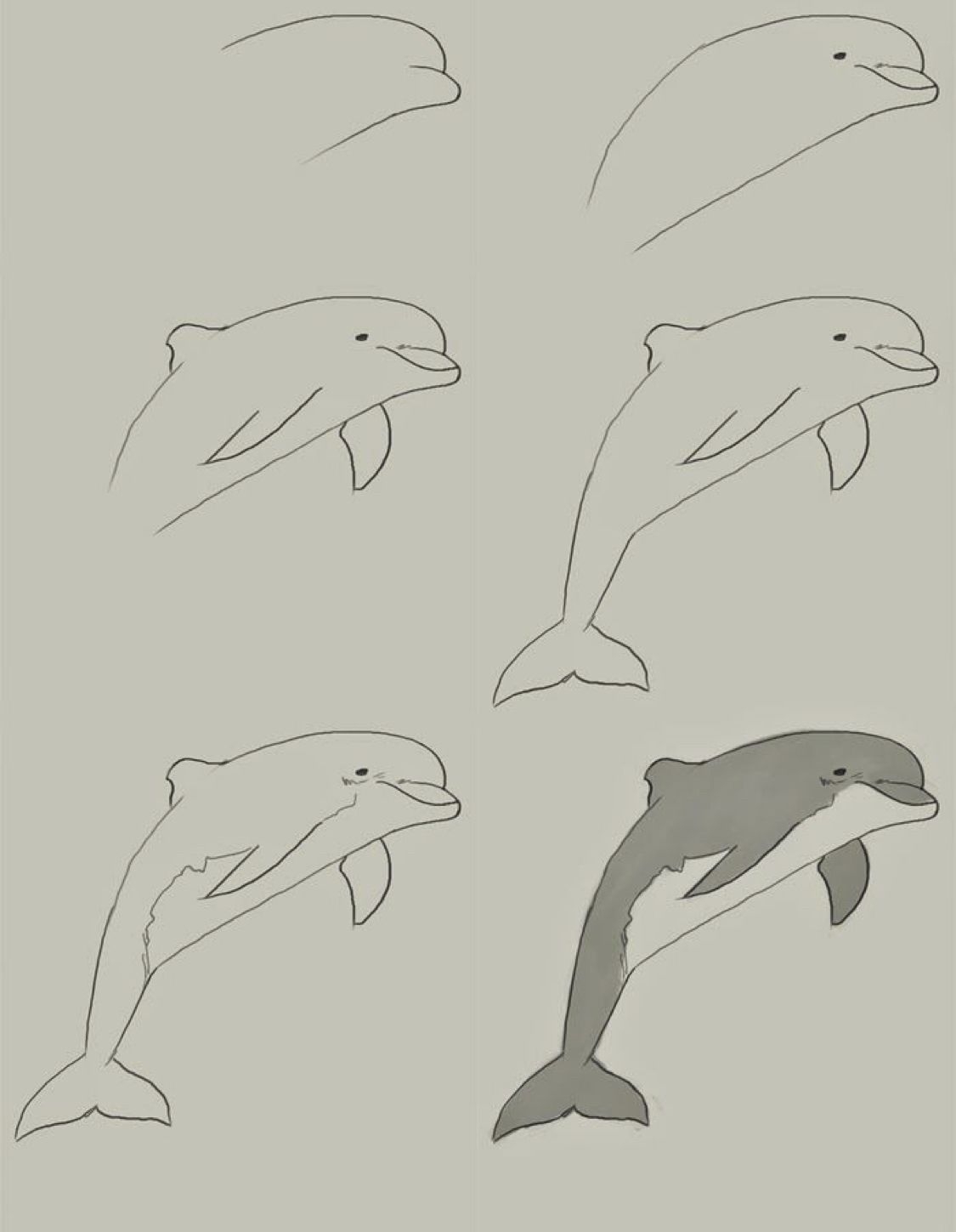 Рисунки на свободную тему легкие 6 класс. Поэтапное рисование дельфина. Рисунки на свабоднуютему. Дельфин карандашом. Рисунок на свободную тему легкий.