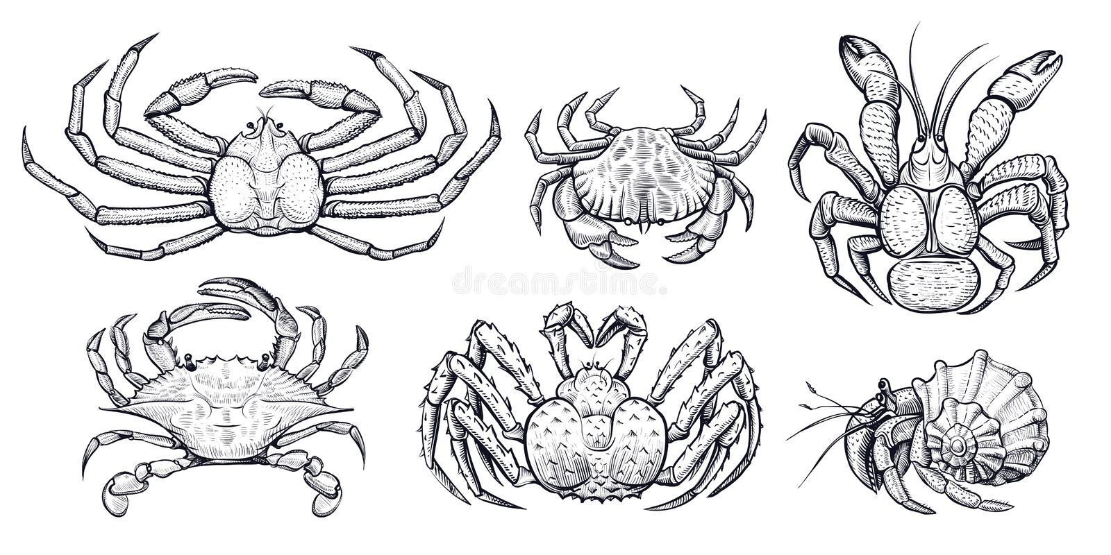 Краб рисунок вектор