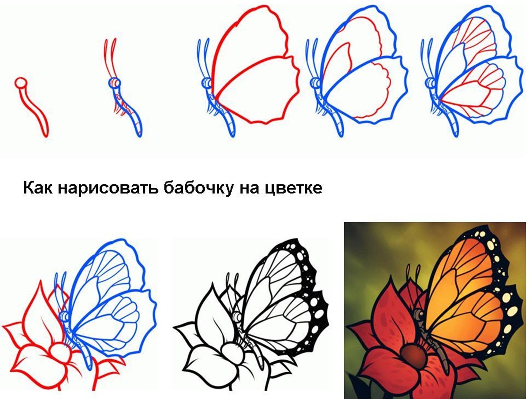 Уроки рисования 2. Как нарисовать бабочку пошагово. Поэтапное рисование бабочки. Рисуем бабочку поэтапно. Бабочка рисунок поэтапно.