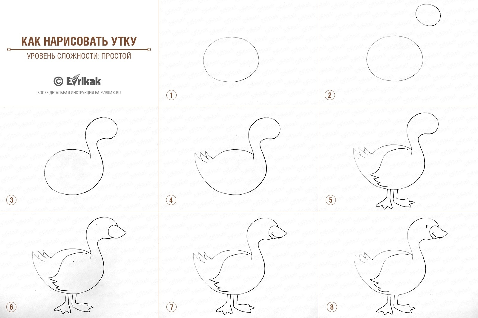 Рисунки для детей утка с утятами (22 фото) 🔥 Прикольные картинки и юмор