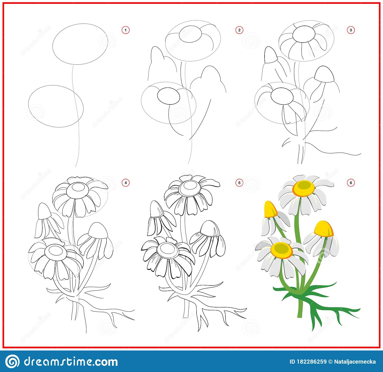 Рисунки по шагам для начинающих цветы